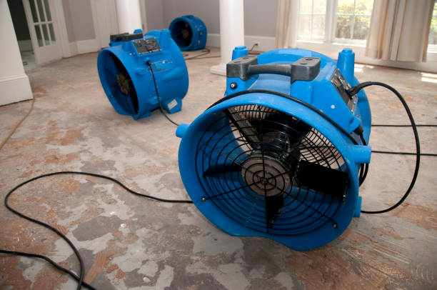 Trusted Water Damage Restoration in Madison, IL | Fast, Reliable, and Ready to Assist You